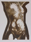 wp17df83b5_0f.jpg