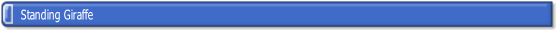 wp381f0a6c.png