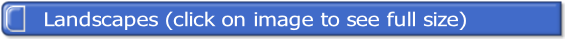 wp44f8d1a1.png