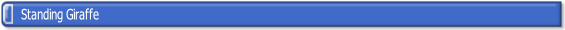 wp51d1441b.png