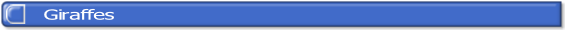 wp65740a0a.png