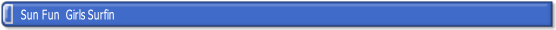 wp95388803.png