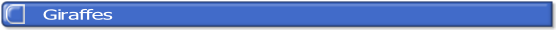 wpecb43570.png