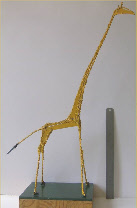 wpff390d02_0f.jpg